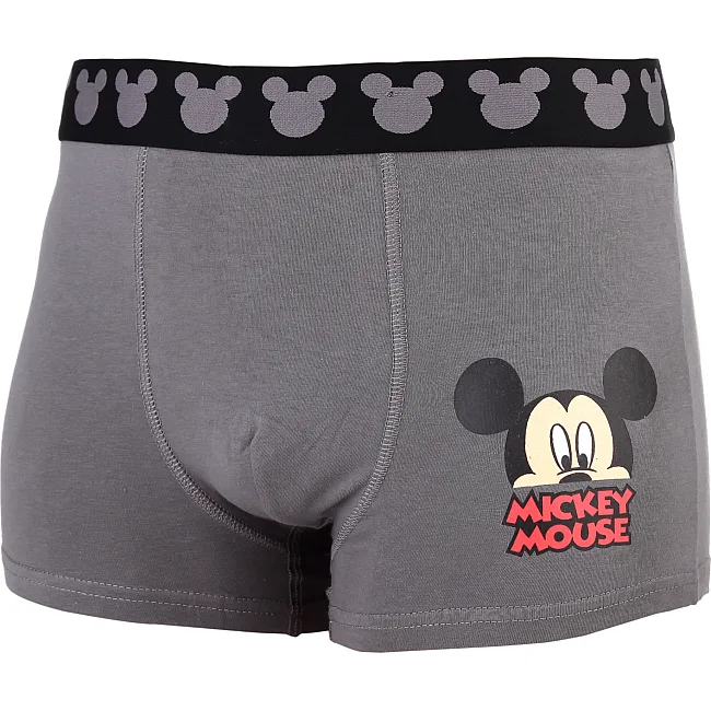 Трусы боксеры MICKEY ET DONALD TETE MICKEY мужские