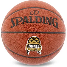 Баскетбольный мяч SPALDING SMALL FORWARD 76892Y 7 (Коричневый)