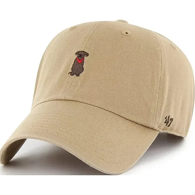 Кепка 47 Brand DOG BASE RUNNER ICON бежевый