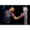Перчатки для бокса V`NOKS Potente Red