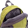 Рюкзак спортивный с жесткой спинкой COLOR LIFE TY-996 (42х26х12,5см)