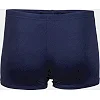 Плавки для мальчиков Arena TEAM SWIM SHORT SOLID синий, белый (для детей)