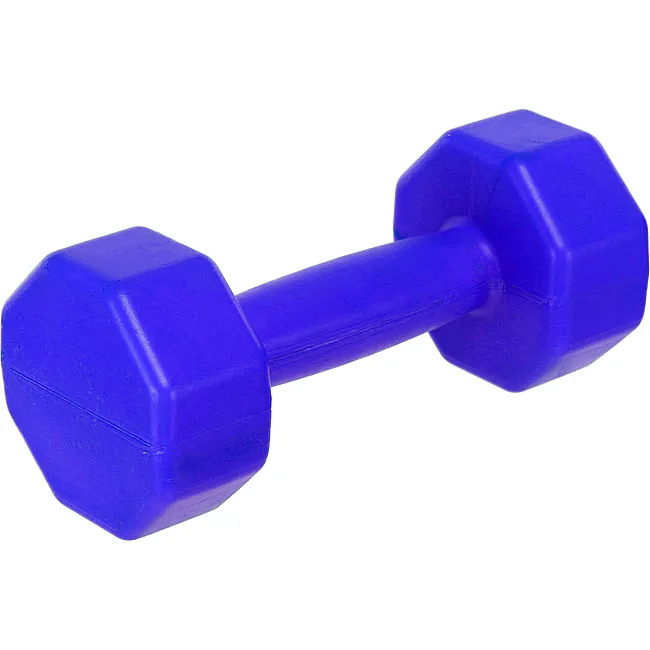 Гантели для фитнеса пластиковые Champion TA-9820-2 2шт 2кг (Розовый)