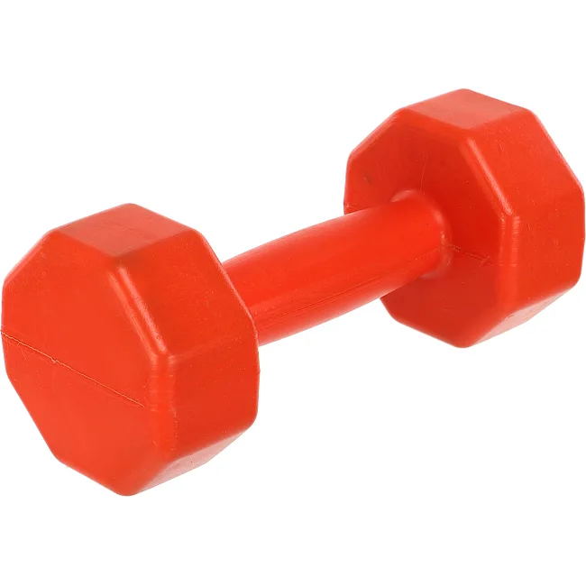 Гантели для фитнеса пластиковые Champion TA-9820-2 2шт 2кг (Розовый)