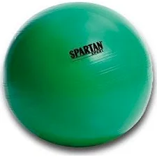 Мяч гимнастический SPARTAN 65 см Green