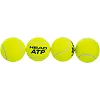 Тенісний м'яч HEAD ATP METAL CAN 570314 4шт