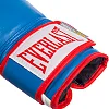 Боксерские перчатки EVERLAST POWERLOCK P00000728 16 унций