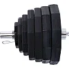 Блины диски полиуретановые 2 Handle металлическая втулка LiveUp LP8023-10 ø51мм 10кг
