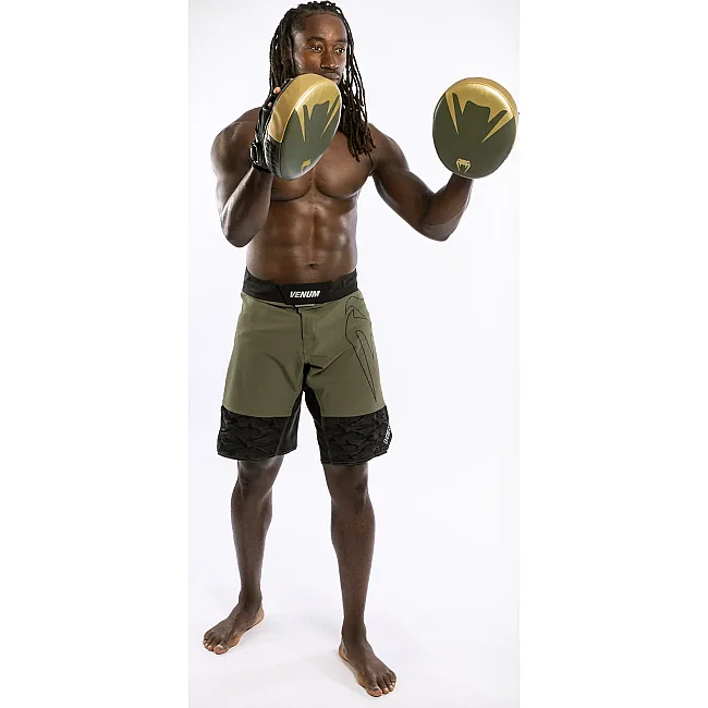 Лапы для бокса VENUM Pro Boxing Big Khaki Gold