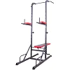 Поручень многофункциональный для подтягивания inSPORTline Power Tower X150