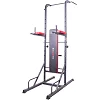 Поручень многофункциональный для подтягивания inSPORTline Power Tower X150