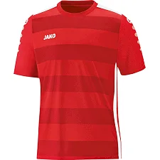 Футболка Celtic 2.0 JAKO 4205-01