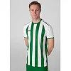 Игровая футболка джерси Inter S/S JAKO 4215-013