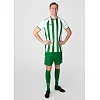 Игровая футболка джерси Inter S/S JAKO 4215-013