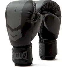 Боксерські рукавиці Everlast PROSPECT 2 BOXING GLOVE чорний, сірий 6 унцій