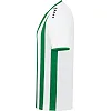 Игровая футболка джерси Inter S/S JAKO 4215-013