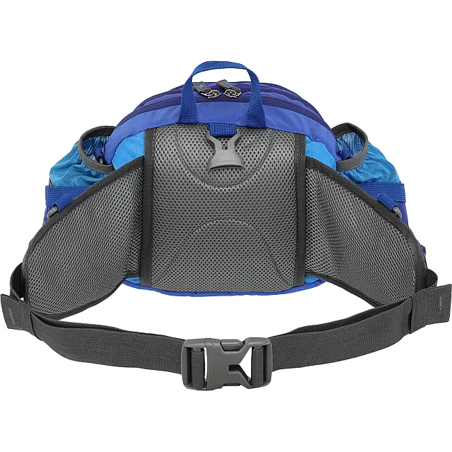 Сумка на пояс спортивная многофункциональная 3в1 COLOR LIFE TY-5335 (Синий)