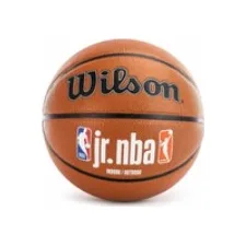 Баскетбольный мяч Wilson JR NBA FAM LOGO INDOOR OUTDOOR size 7