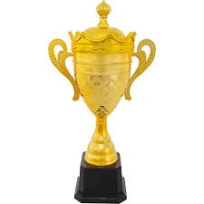 Спортивний кубок нагородний SP-SPORT King JZ19629-B 47см (Золотий)