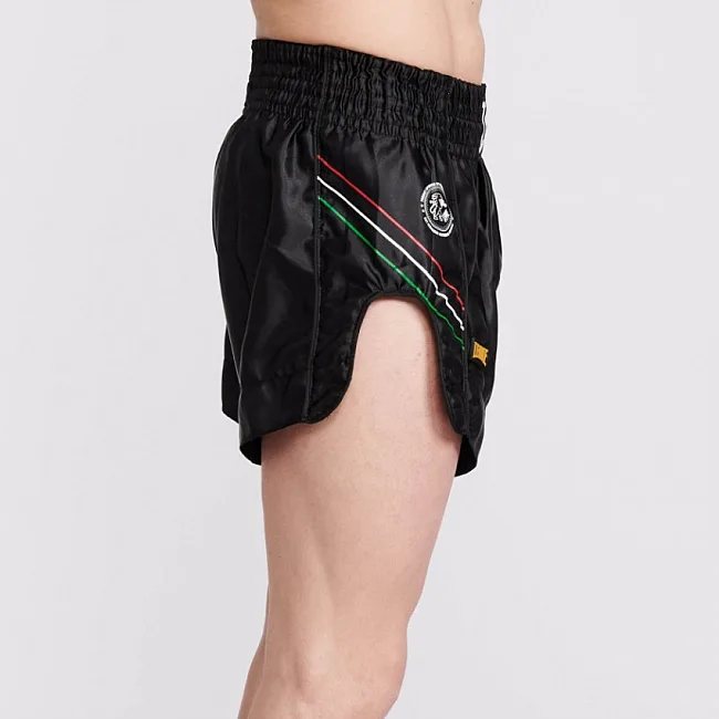 Шорты для тайского бокса LEONE Flag Black