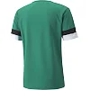 Футболка чоловіча Puma teamRISE Jersey зелений L