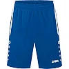 Спортивні шорти Allround JAKO 4499-410