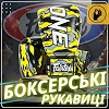 Перчатки боксерские Fairtex BGV-ONE X STBG (натуральная кожа) (бинты в комплекте)