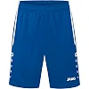 Спортивні шорти Allround JAKO 4499-410