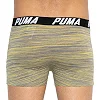 Трусы-боксеры PUMA PACEDYETRIPE BOXER 2P мужские
