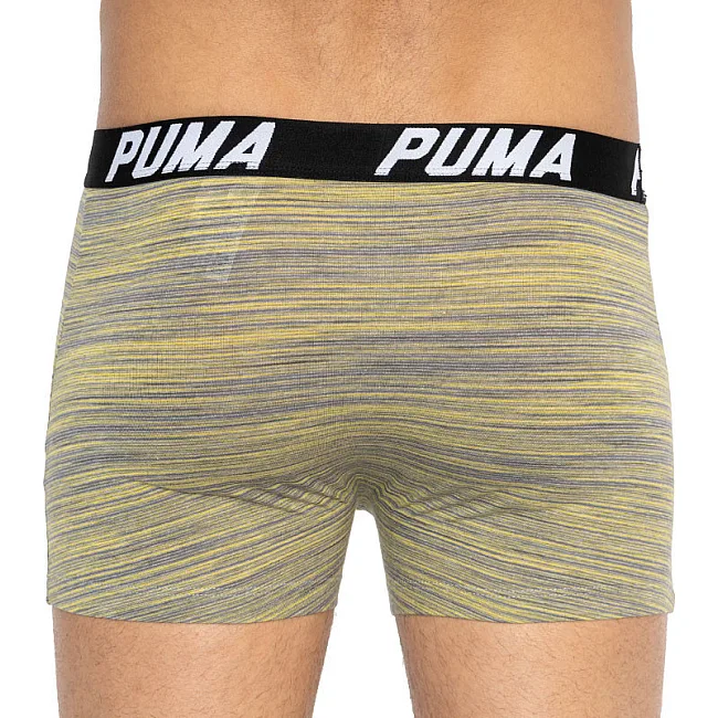 Трусы-боксеры PUMA PACEDYETRIPE BOXER 2P мужские