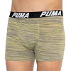 Трусы-боксеры PUMA PACEDYETRIPE BOXER 2P мужские