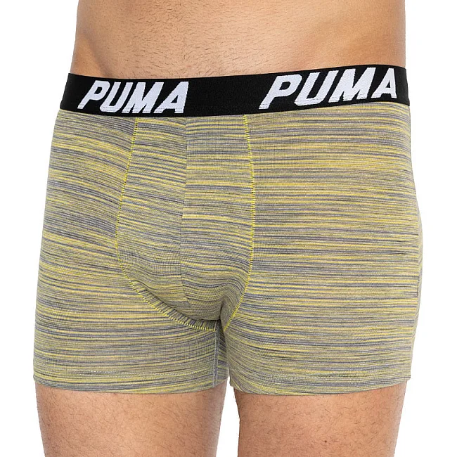 Трусы-боксеры PUMA PACEDYETRIPE BOXER 2P мужские