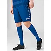 Спортивні шорти Allround JAKO 4499-410