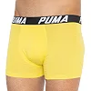 Трусы-боксеры PUMA PACEDYETRIPE BOXER 2P мужские