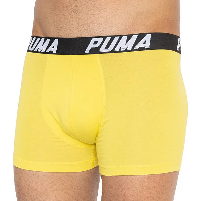 Трусы-боксеры PUMA PACEDYETRIPE BOXER 2P мужские