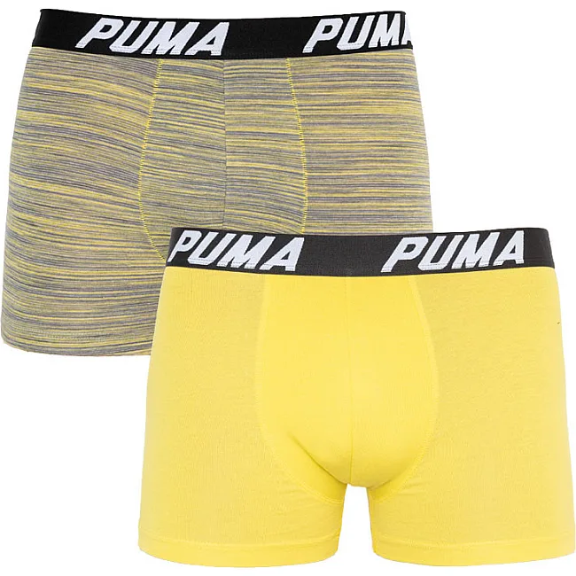 Трусы-боксеры PUMA PACEDYETRIPE BOXER 2P мужские