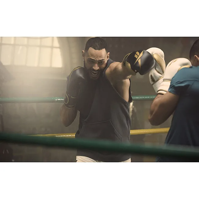 Боксерские перчатки Reebok Boxing Gloves черный, золотистый 14 унций