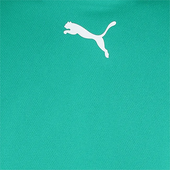 Футболка чоловіча Puma teamRISE Jersey зелений L