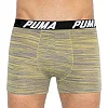 Трусы-боксеры PUMA PACEDYETRIPE BOXER 2P мужские