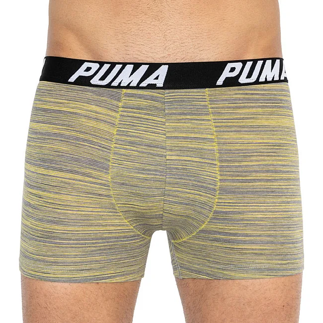Трусы-боксеры PUMA PACEDYETRIPE BOXER 2P мужские