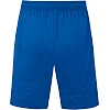 Спортивні шорти Allround JAKO 4499-410