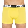 Трусы-боксеры PUMA PACEDYETRIPE BOXER 2P мужские