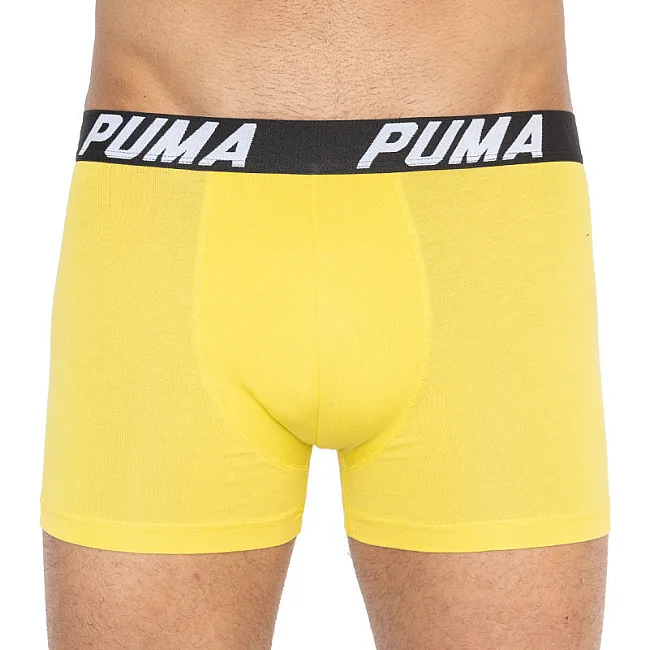 Трусы-боксеры PUMA PACEDYETRIPE BOXER 2P мужские