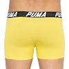 Трусы-боксеры PUMA PACEDYETRIPE BOXER 2P мужские