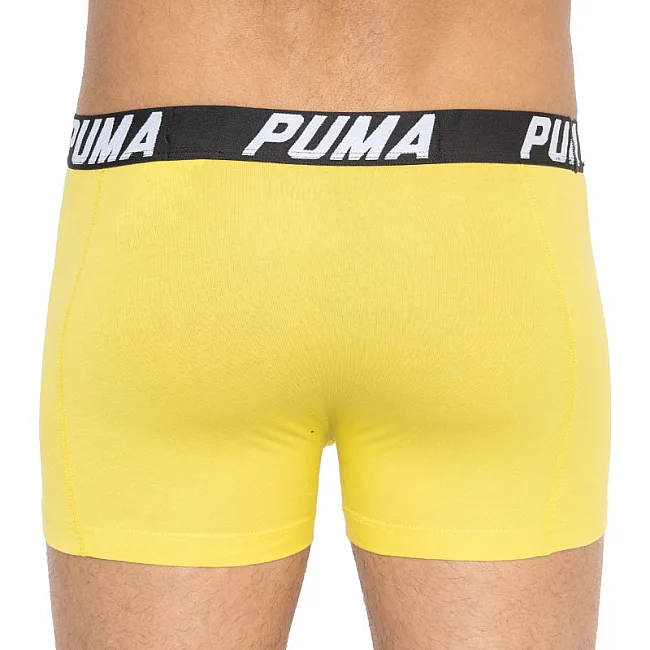 Трусы-боксеры PUMA PACEDYETRIPE BOXER 2P мужские