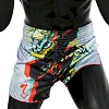 Шорти для Муай Тай FAIRTEX BS1909