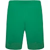Спортивні шорти чоловічі Puma teamRISE Short зелений