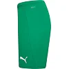 Спортивні шорти чоловічі Puma teamRISE Short зелений