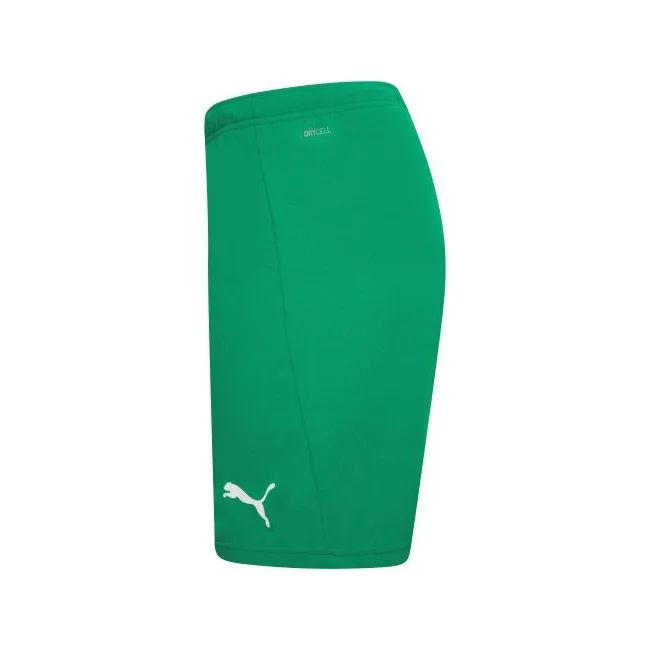 Спортивні шорти чоловічі Puma teamRISE Short зелений