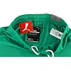 Спортивні шорти чоловічі Puma teamRISE Short зелений